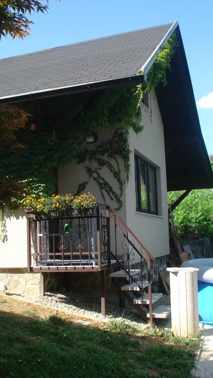 Dom wakacyjny Wine & Nature & Tour